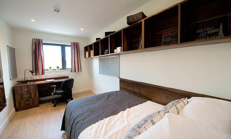 Zeni 3 Bed Apartment In Central Exeter Kültér fotó
